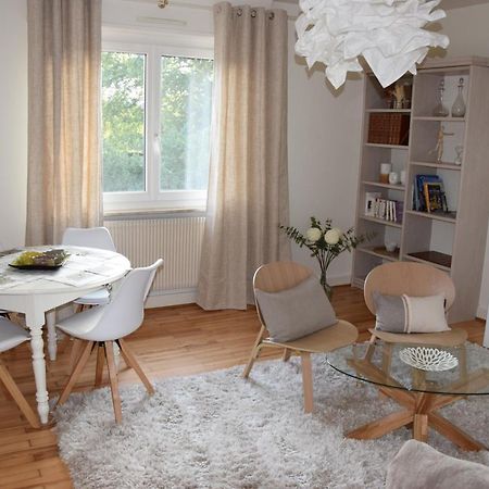 Appartement Chez Fabie Selestat Bagian luar foto