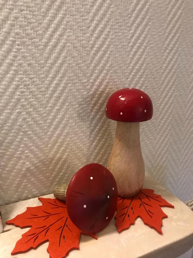 Appartement Chez Fabie Selestat Bagian luar foto