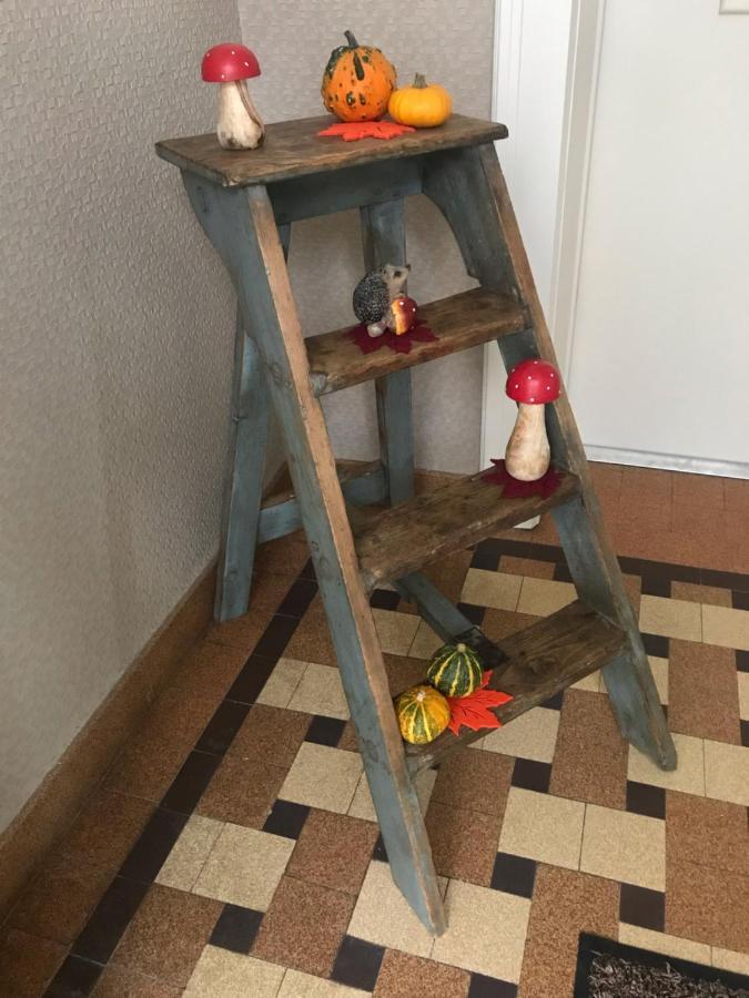 Appartement Chez Fabie Selestat Bagian luar foto
