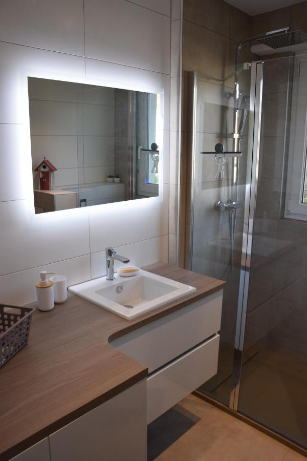 Appartement Chez Fabie Selestat Bagian luar foto