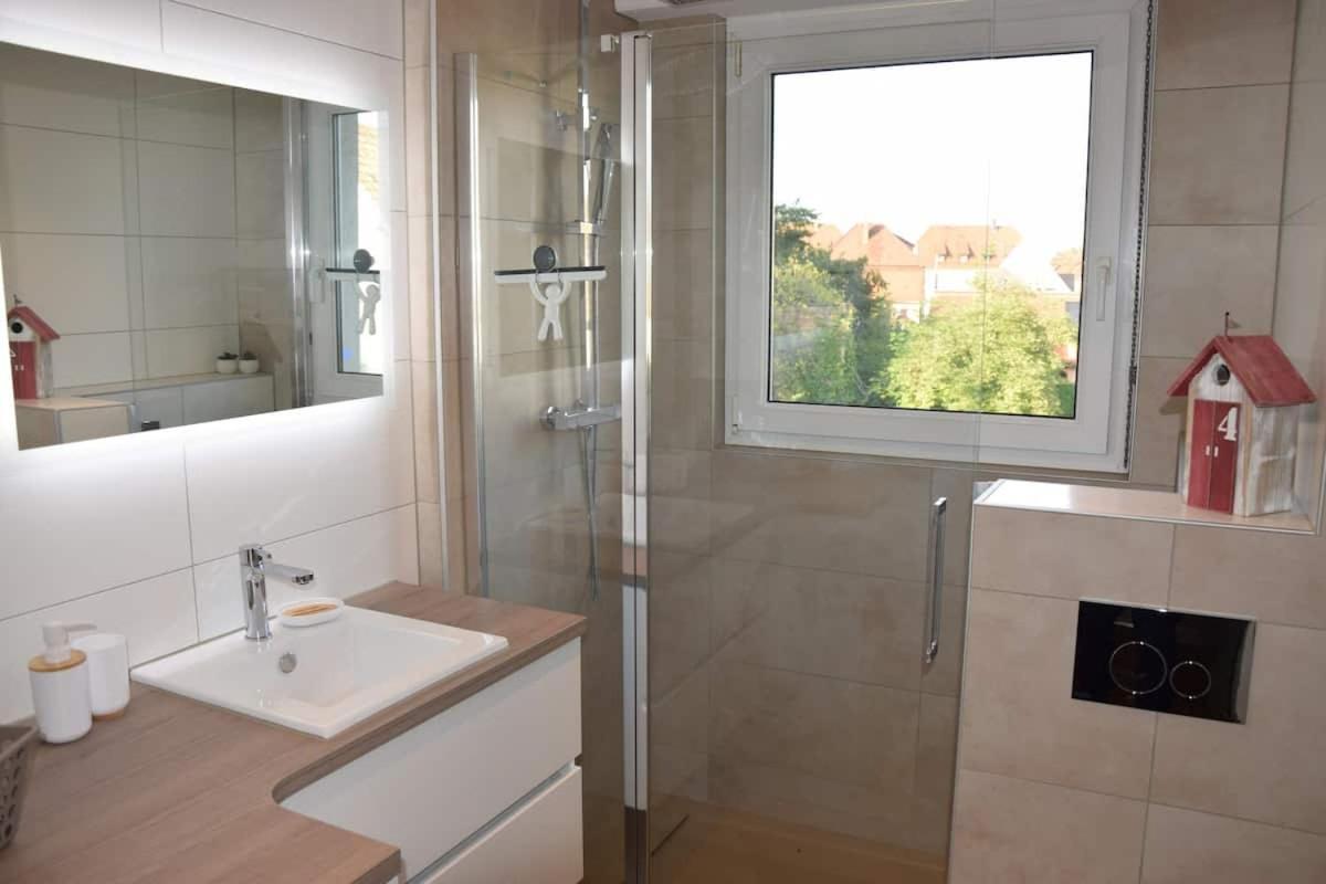 Appartement Chez Fabie Selestat Bagian luar foto