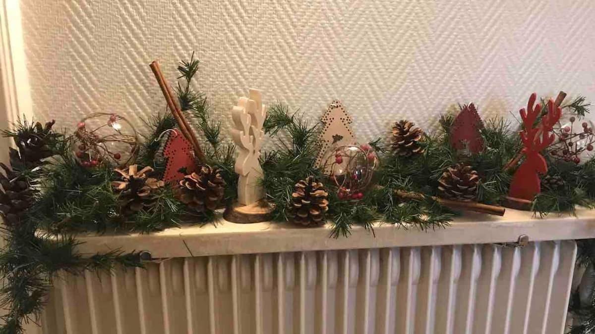 Appartement Chez Fabie Selestat Bagian luar foto