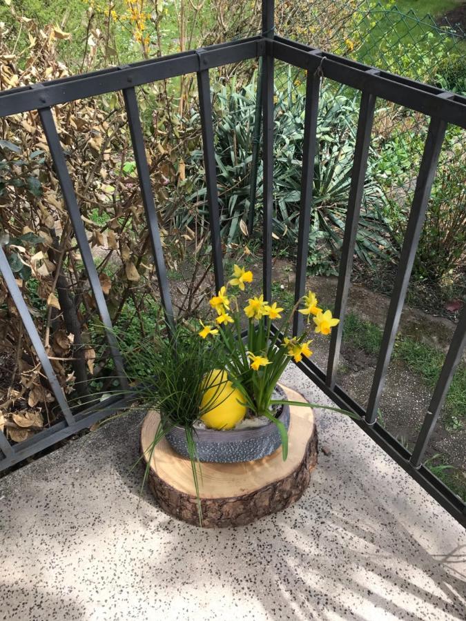 Appartement Chez Fabie Selestat Bagian luar foto