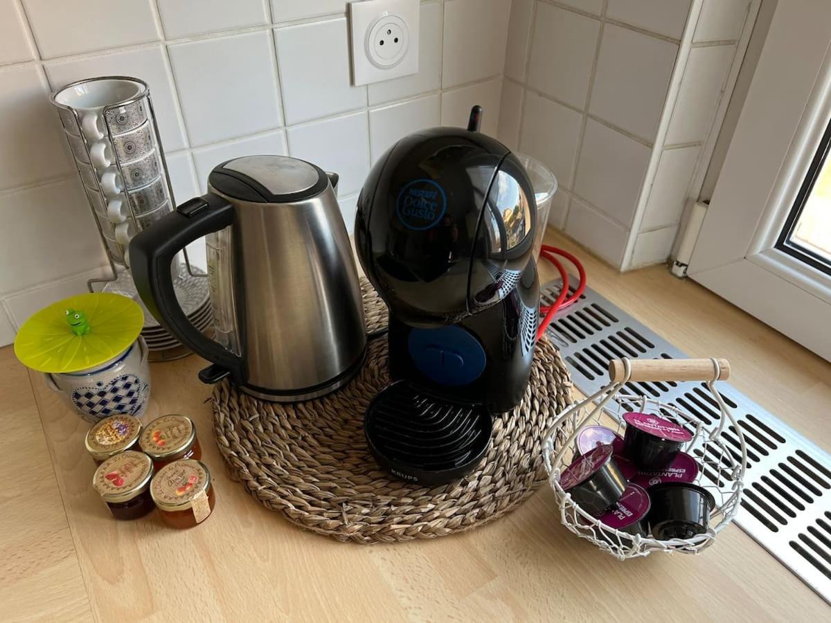 Appartement Chez Fabie Selestat Bagian luar foto