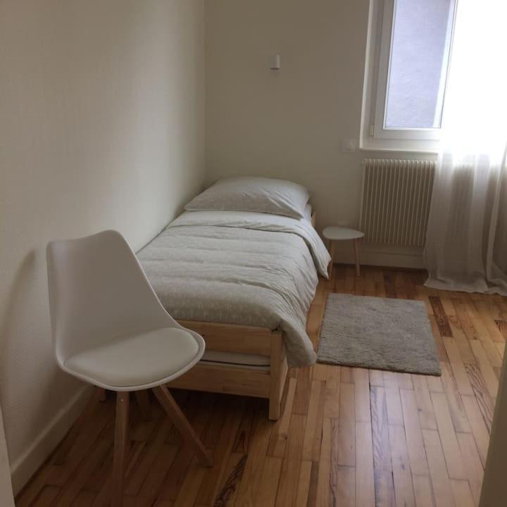 Appartement Chez Fabie Selestat Bagian luar foto