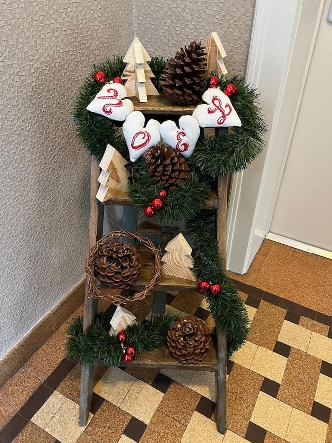 Appartement Chez Fabie Selestat Bagian luar foto