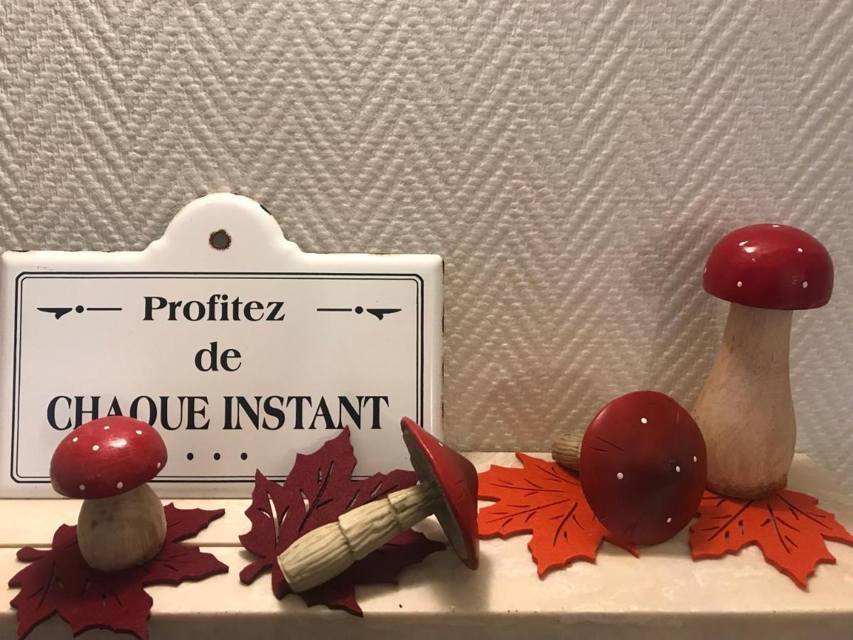 Appartement Chez Fabie Selestat Bagian luar foto