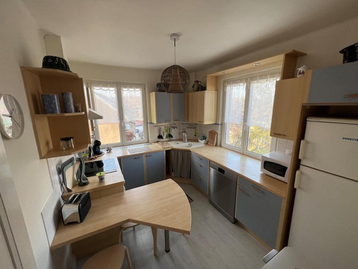 Appartement Chez Fabie Selestat Bagian luar foto